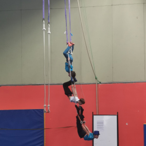 Figure de cirque