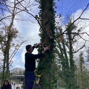 M. Olivier installe un des nichoirs