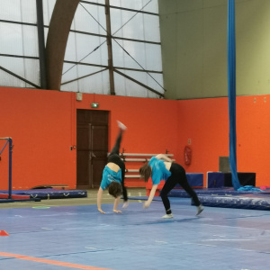 Acroabties