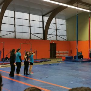 Aperçu AS danse