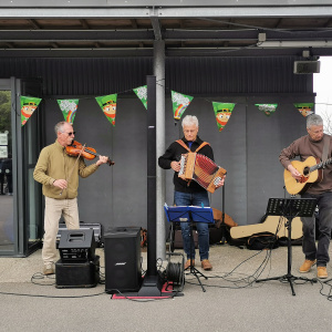 Les « Vendanges tardives » en place