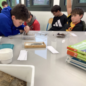 Plastique à la loupe