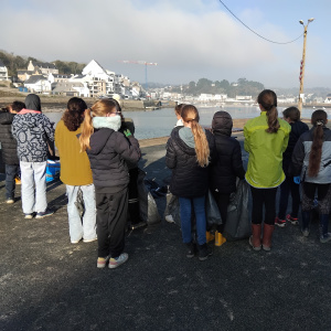 Bilan de la collecte