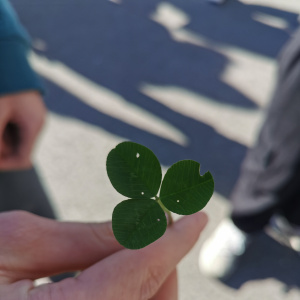 St Patrick