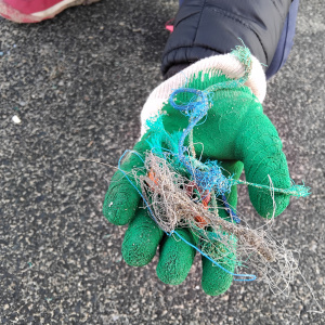 Déchets de pêche collectés