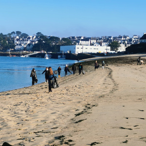 On cherche, on observe