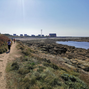 A la découverte de l'île