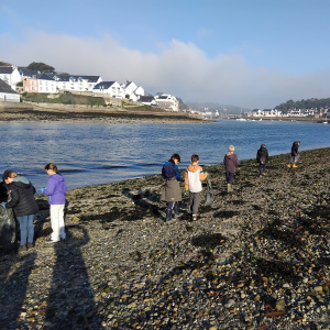 Les élèves en recherche