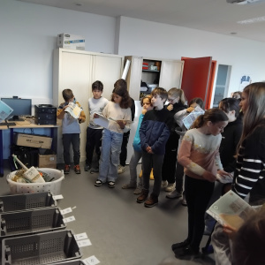 Explications aux élèves du tri